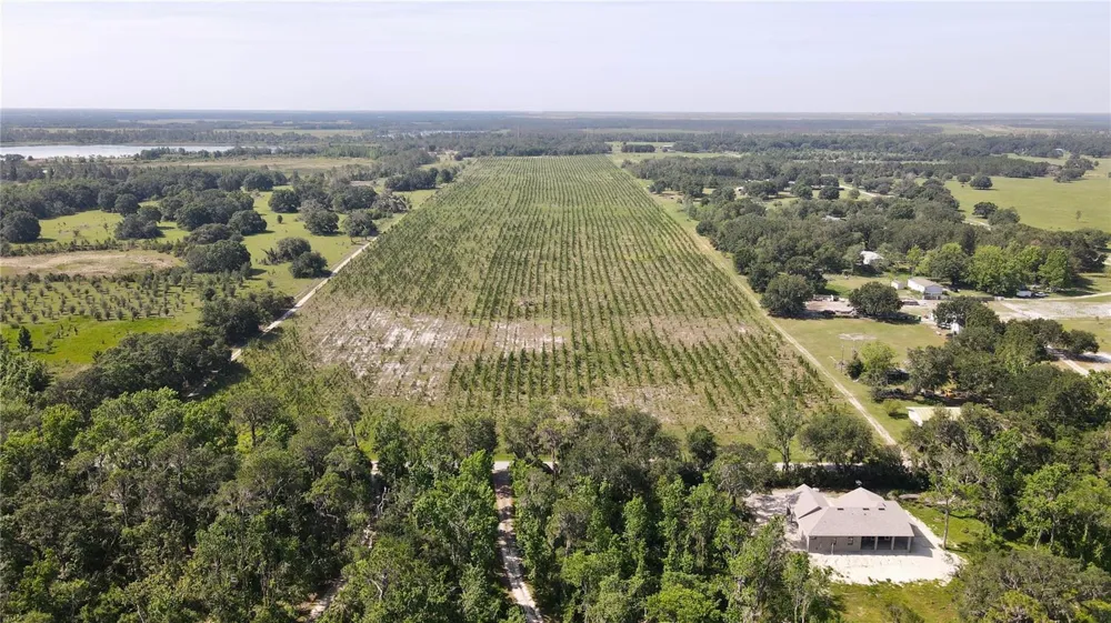 Address Not Shown Lithia, FL 33547