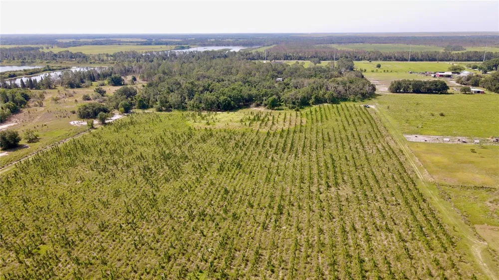 Address Not Shown Lithia, FL 33547