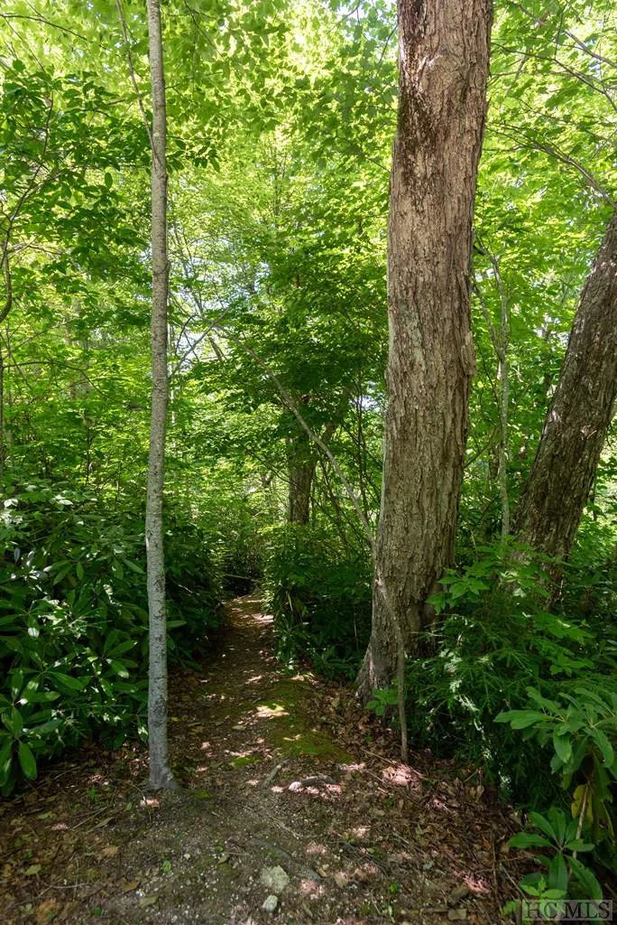 Lot 7 Meadow Ridge Road Lake Toxaway, NC 28747