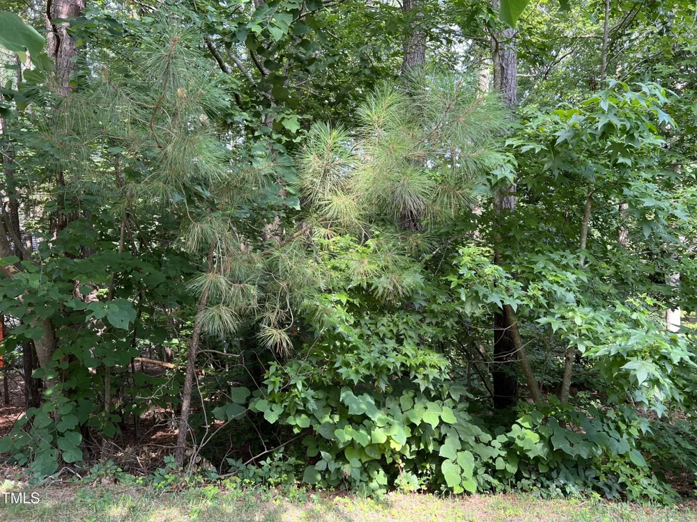 19102 Stone Brook Chapel Hill, NC 27517