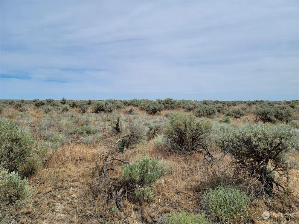 0 Lot 38 Eagle Springs Ranch Wilson Creek, WA 98860