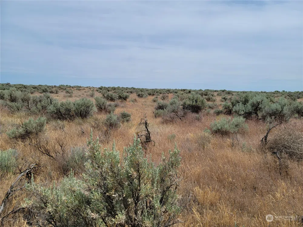 0 Lot 38 Eagle Springs Ranch Wilson Creek, WA 98860