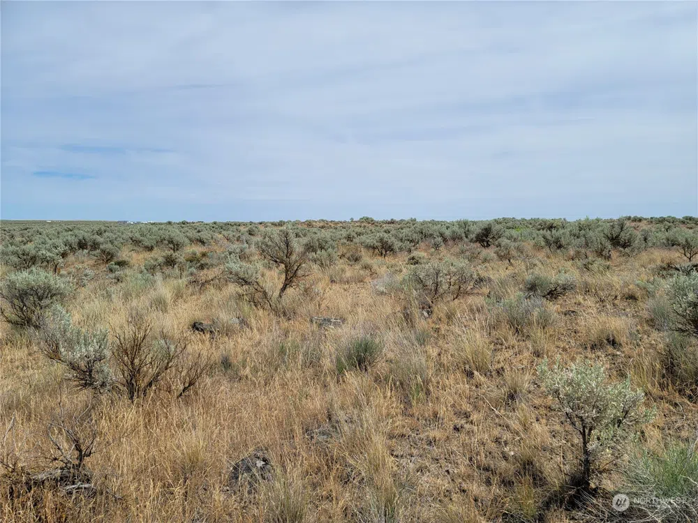 0 Lot 38 Eagle Springs Ranch Wilson Creek, WA 98860
