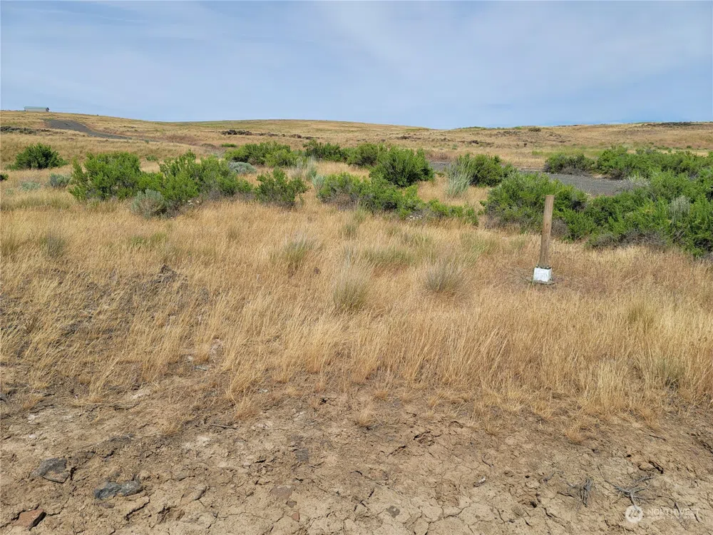 0 Lot 38 Eagle Springs Ranch Wilson Creek, WA 98860