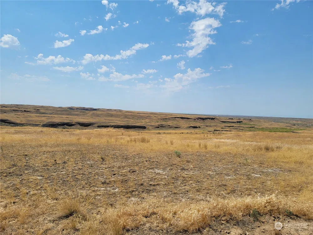 0 Lot 38 Eagle Springs Ranch Wilson Creek, WA 98860