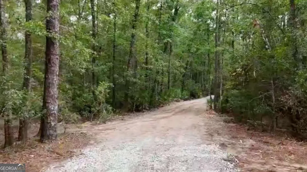 LOT 8 Emmaus Church RD St. George, GA 31562