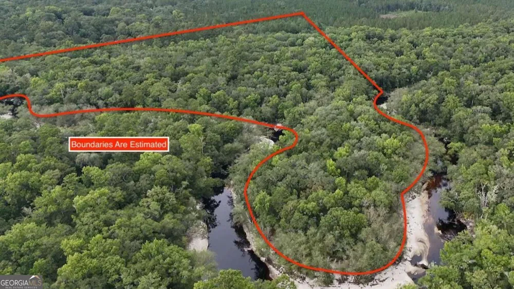 LOT 8 Emmaus Church RD St. George, GA 31562