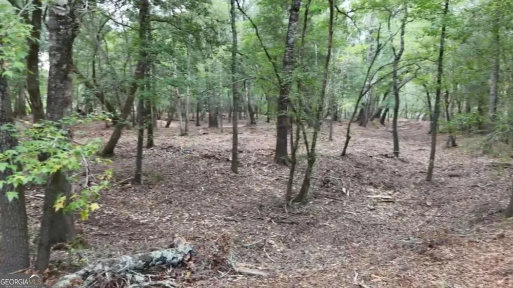 LOT 8 Emmaus Church RD St. George, GA 31562