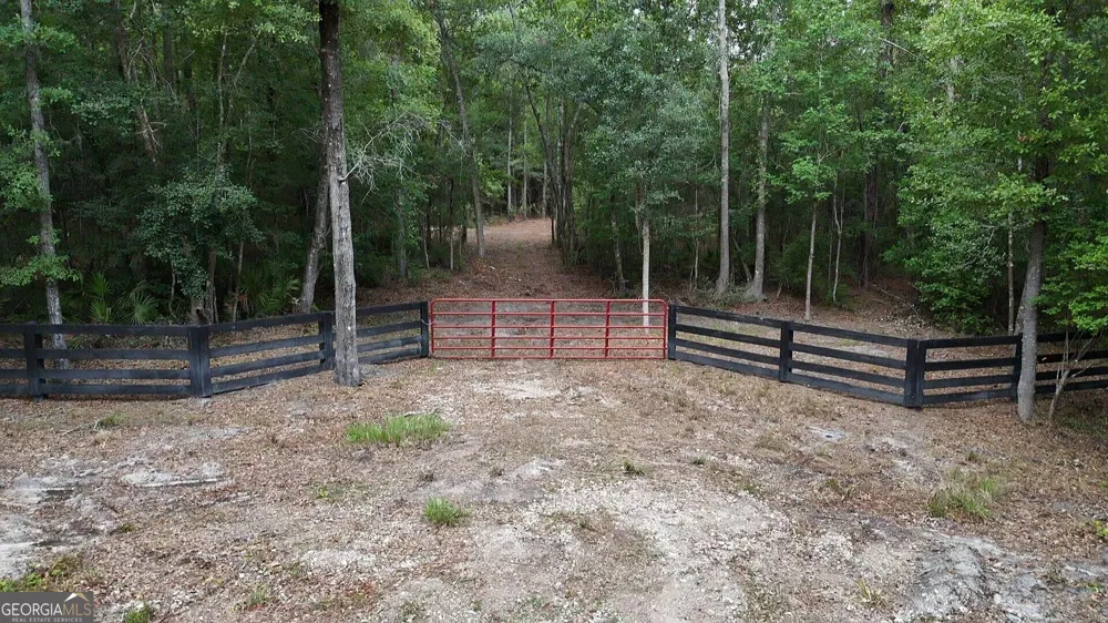 LOT 8 Emmaus Church RD St. George, GA 31562