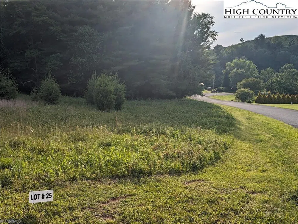 Lot 25 Dockery Lane Sparta, NC 28675