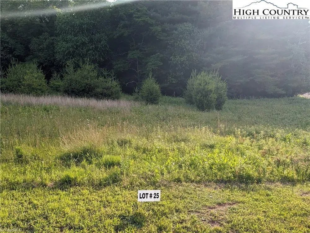 Lot 25 Dockery Lane Sparta, NC 28675