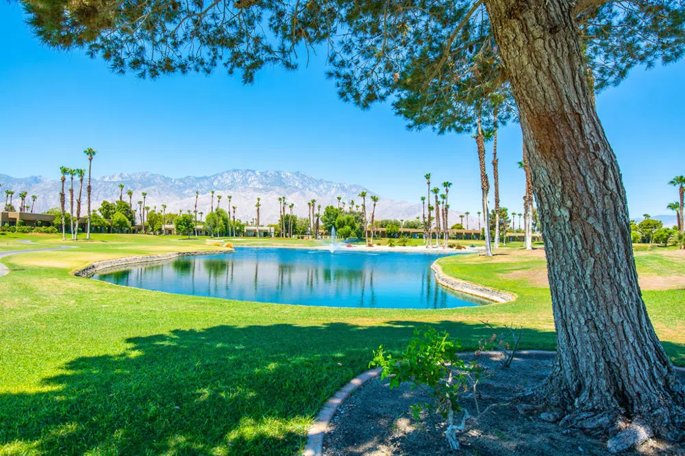 28859 Desert Princess Drive Cathedral City, CA 92234