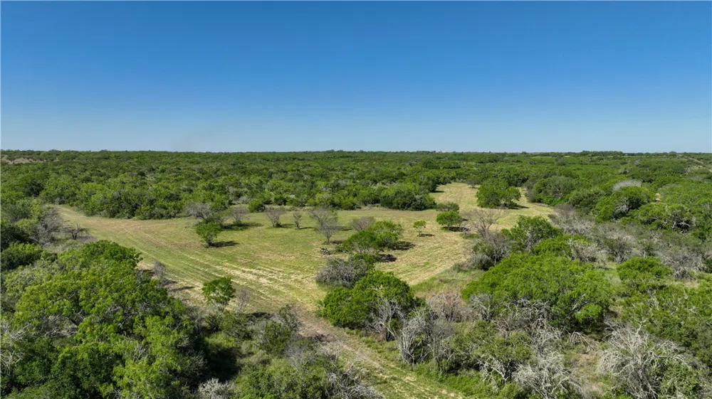48 County Road 114 George West, TX 78022