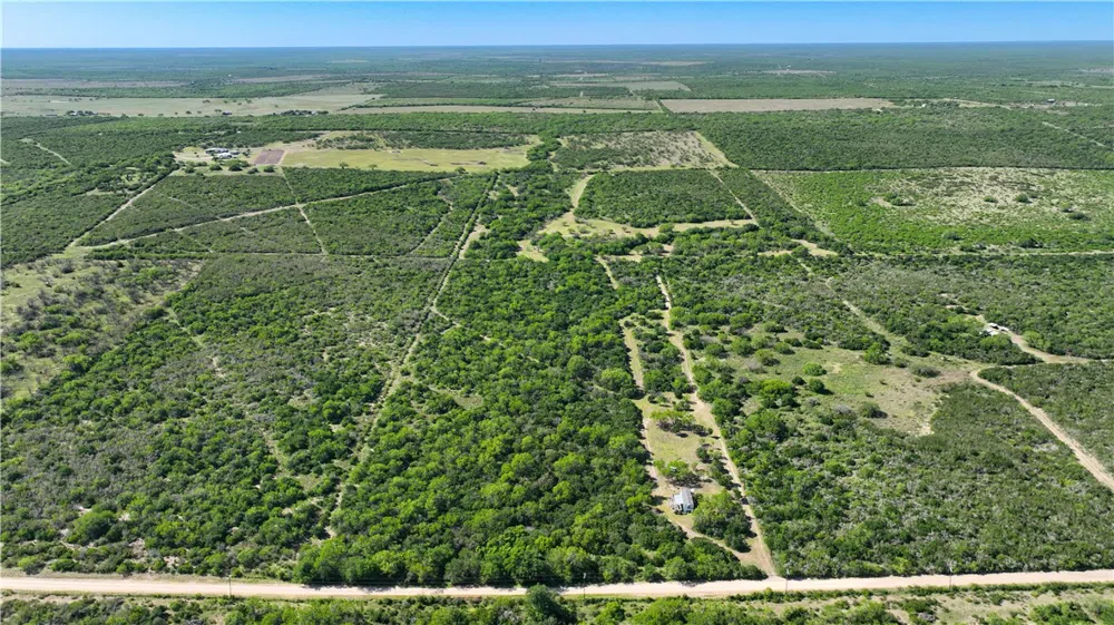 48 County Road 114 George West, TX 78022
