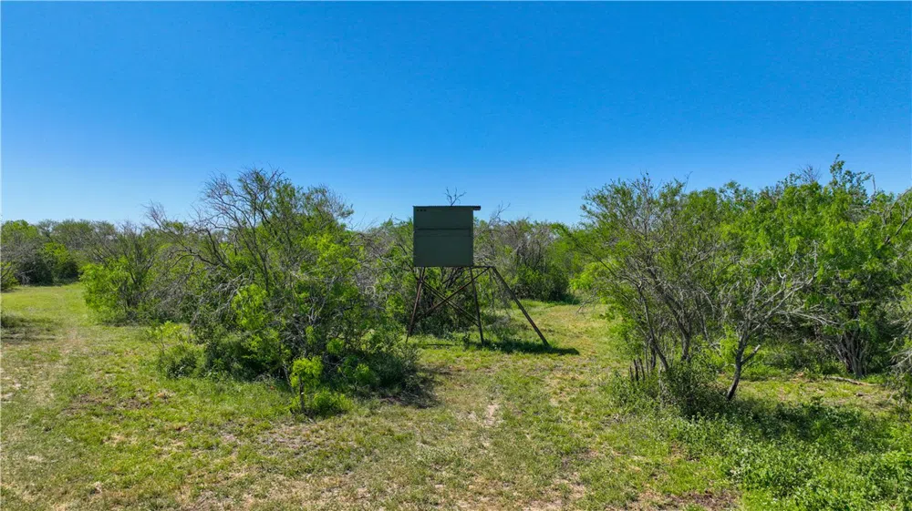 48 County Road 114 George West, TX 78022