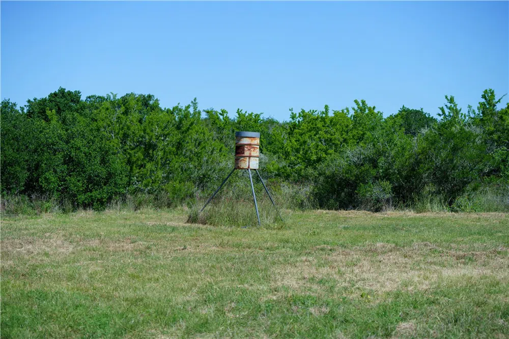 48 County Road 114 George West, TX 78022