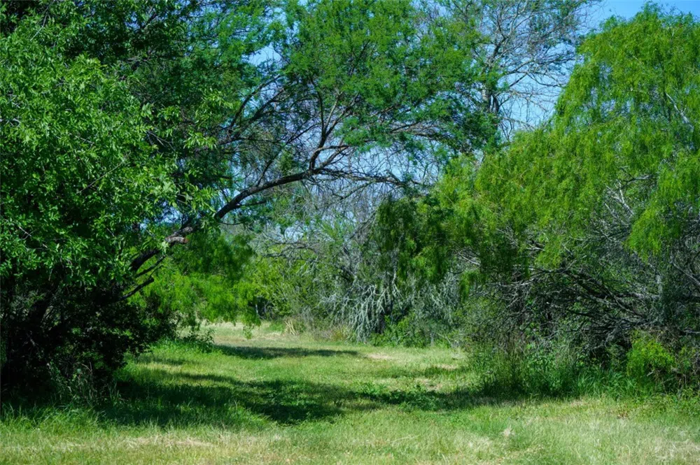 48 County Road 114 George West, TX 78022