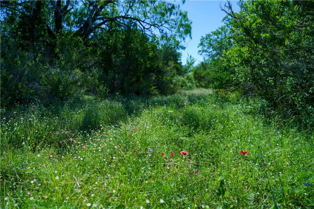 48 County Road 114 George West, TX 78022