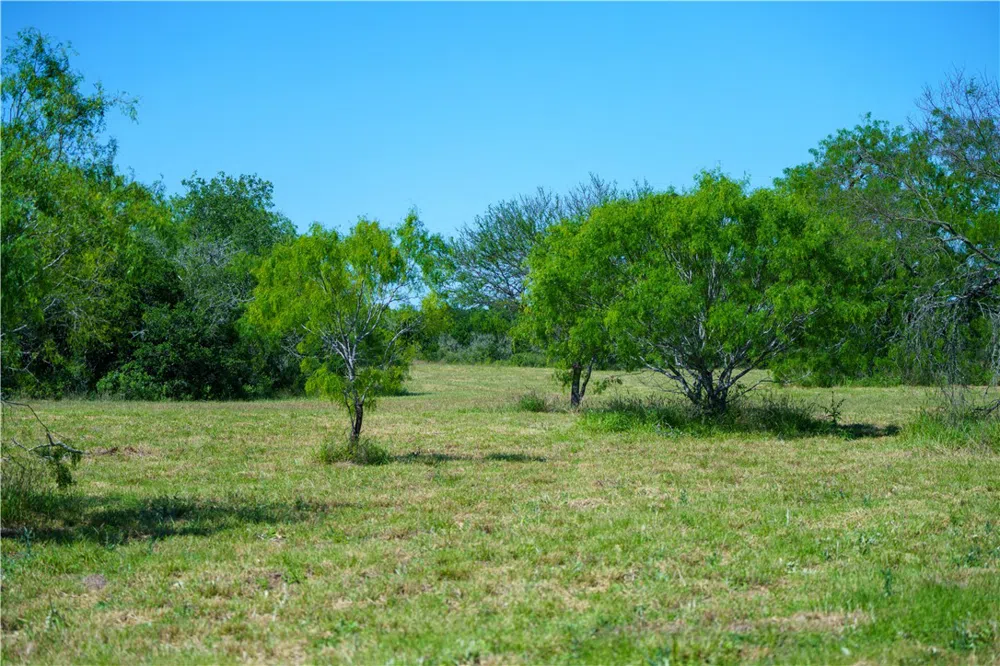 48 County Road 114 George West, TX 78022