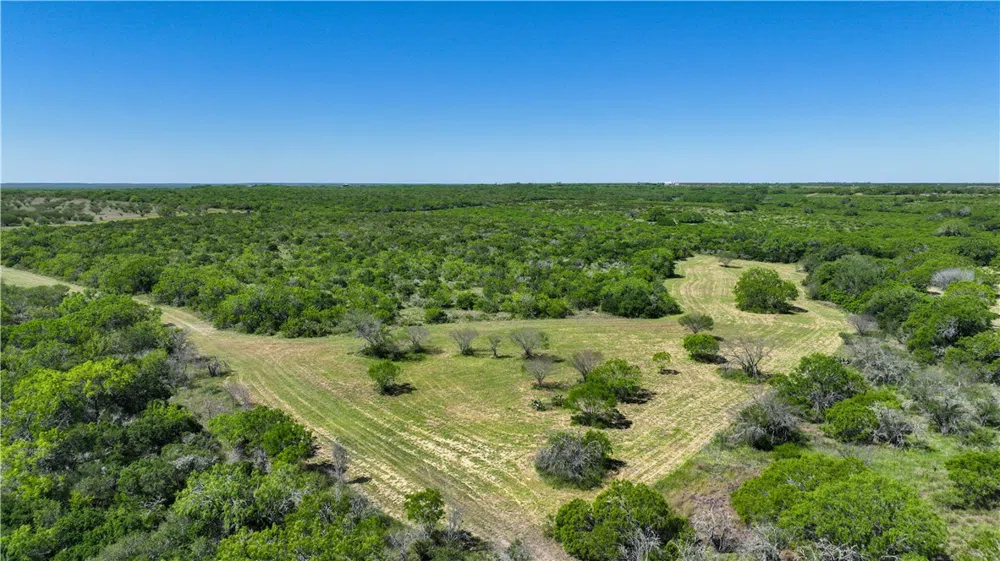 48 County Road 114 George West, TX 78022