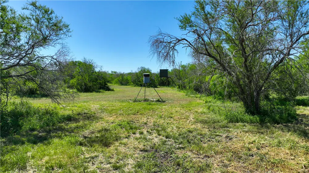 48 County Road 114 George West, TX 78022