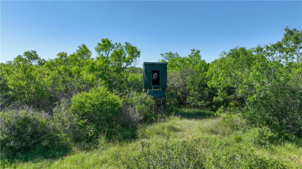48 County Road 114 George West, TX 78022