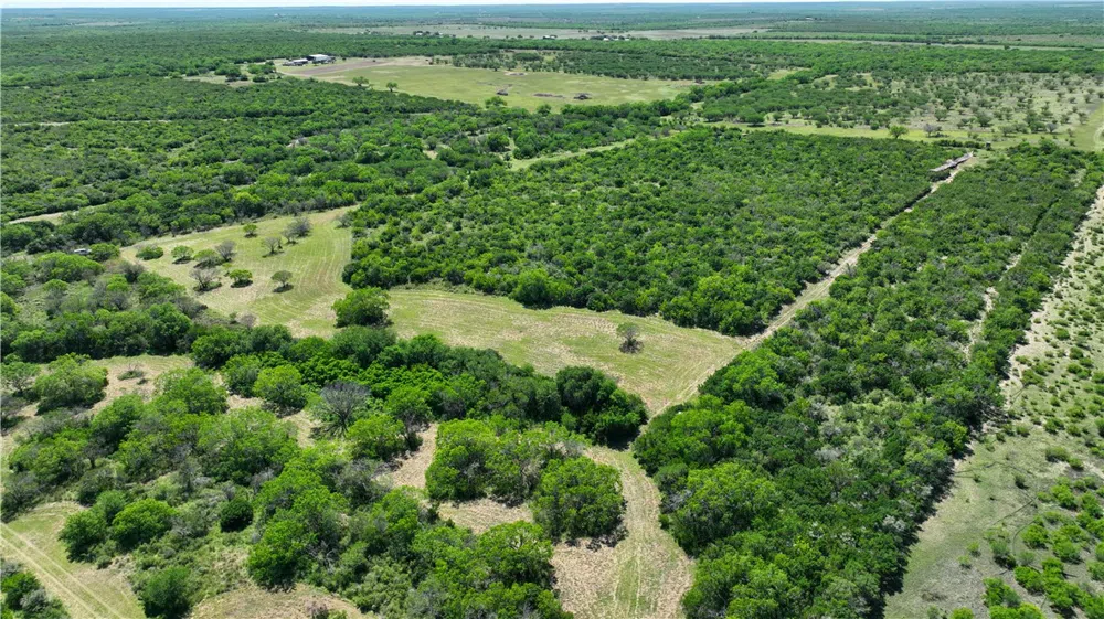 48 County Road 114 George West, TX 78022