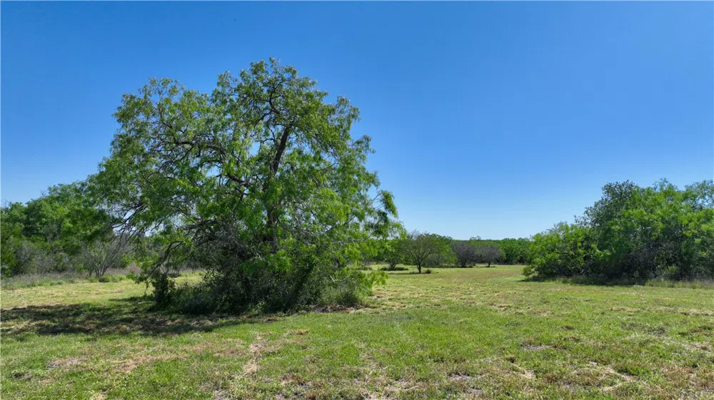 48 County Road 114 George West, TX 78022