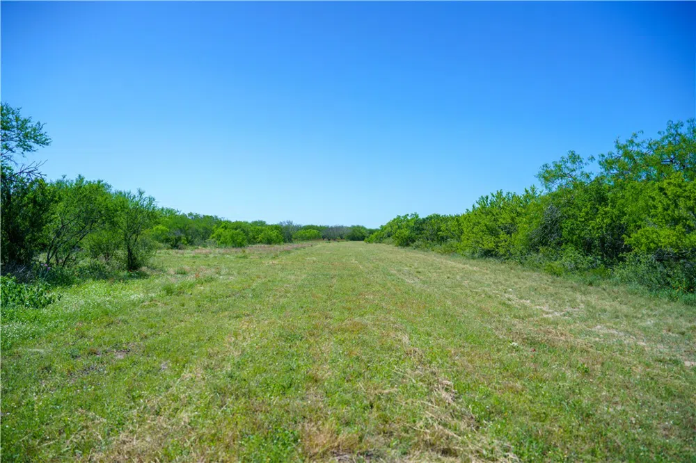 48 County Road 114 George West, TX 78022