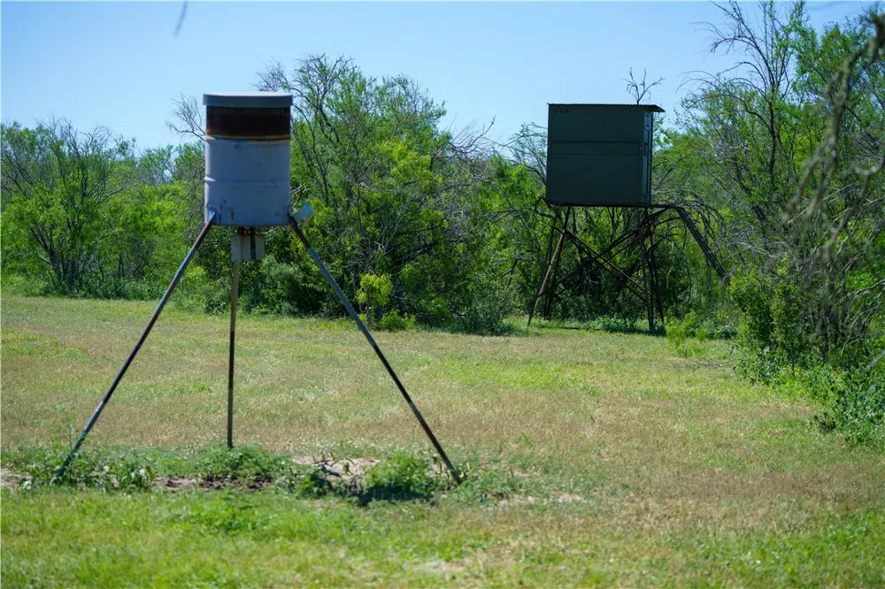 48 County Road 114 George West, TX 78022