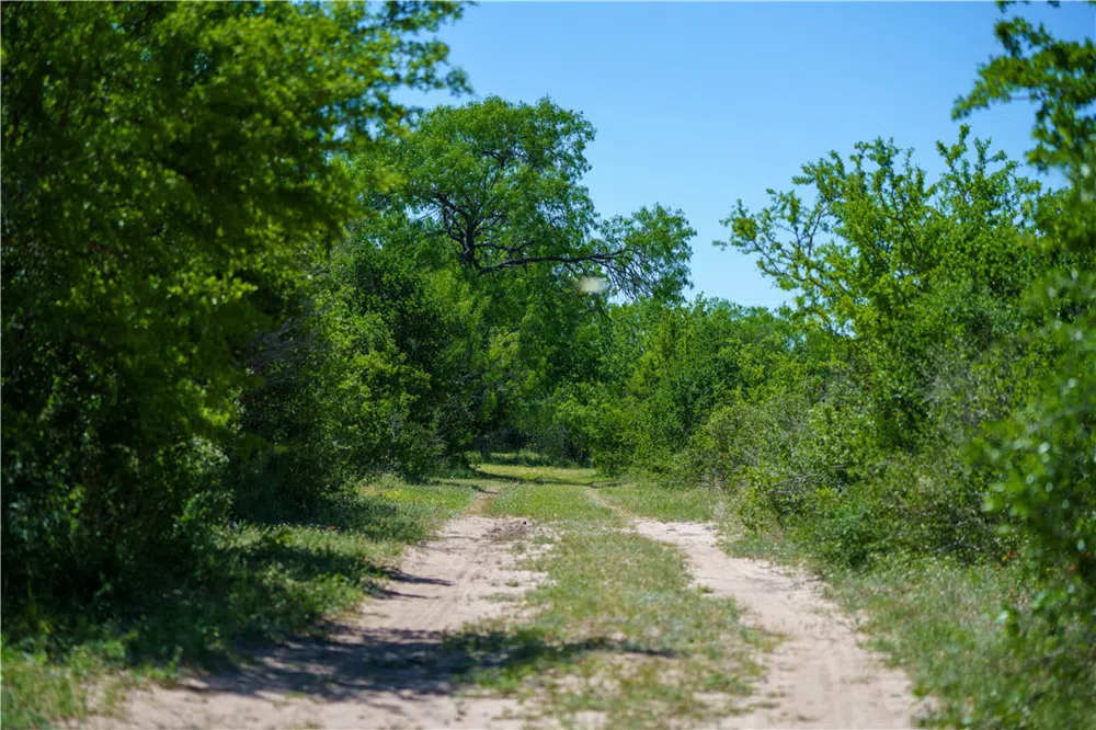 48 County Road 114 George West, TX 78022