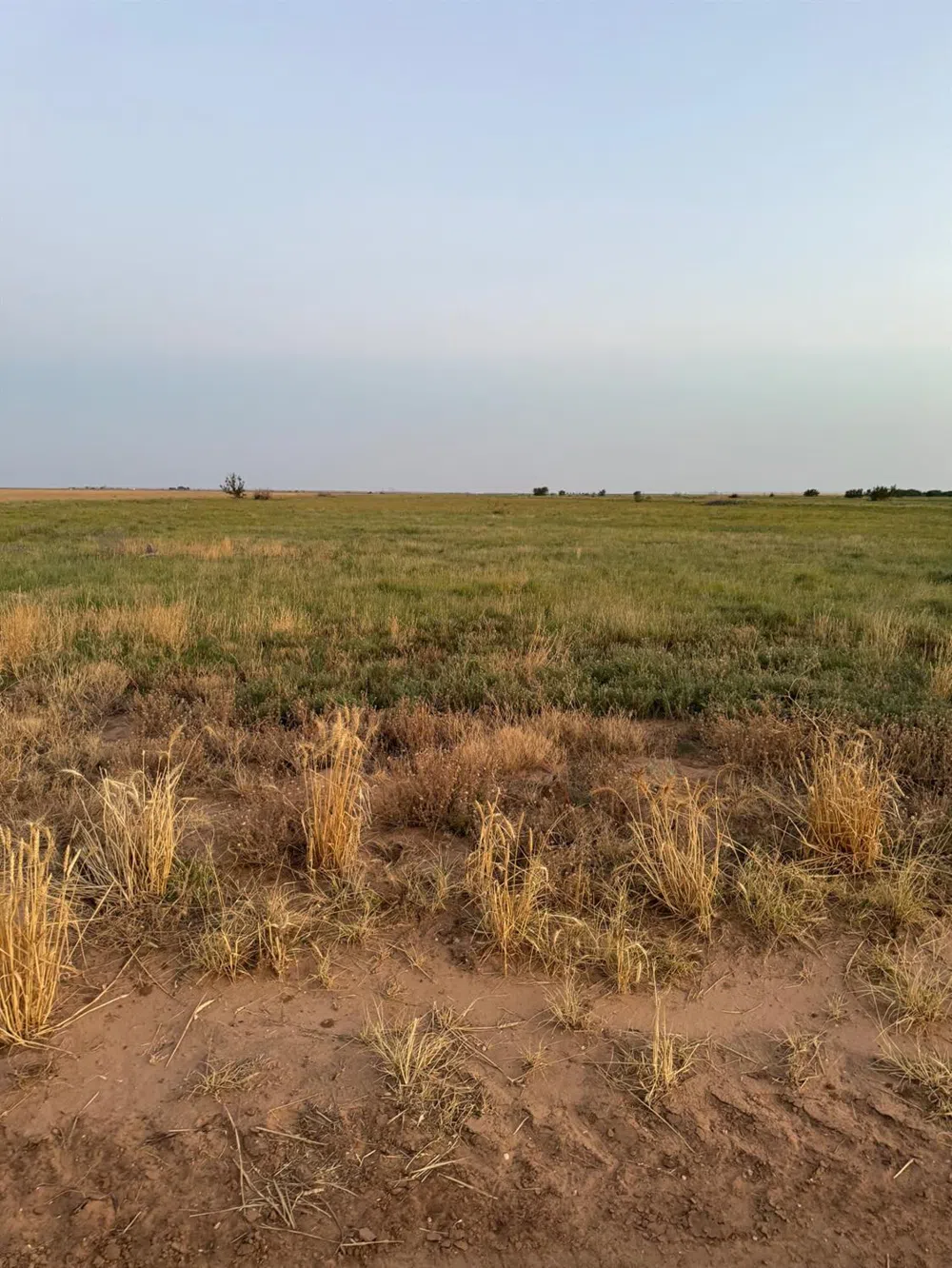 11 FM 179 New Home, TX 79383