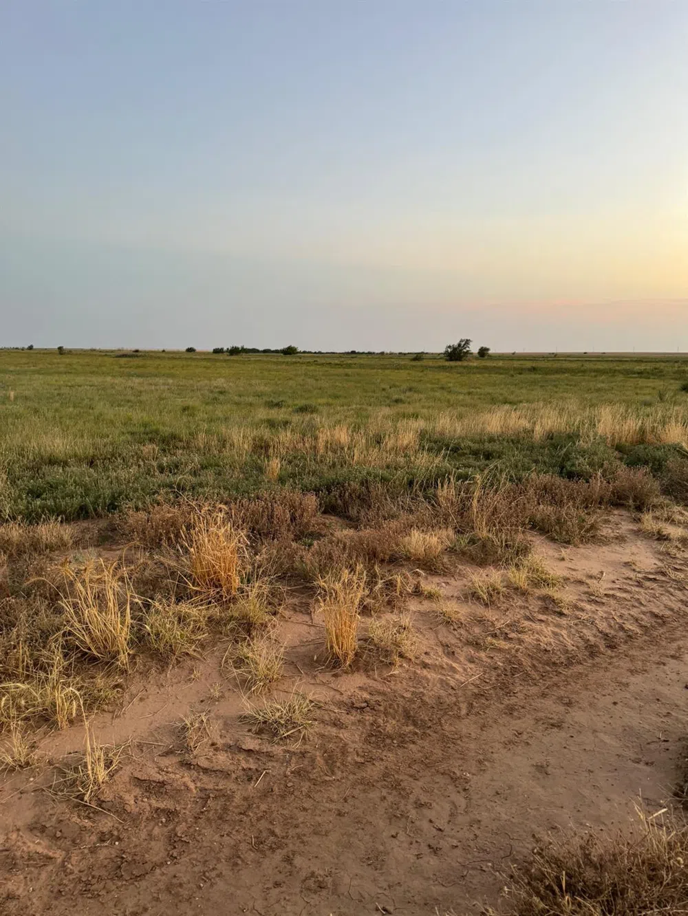 11 FM 179 New Home, TX 79383