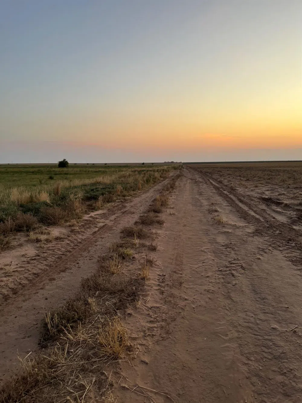 11 FM 179 New Home, TX 79383