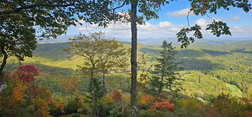 1734 Toxaway Drive Lake Toxaway, NC 28474