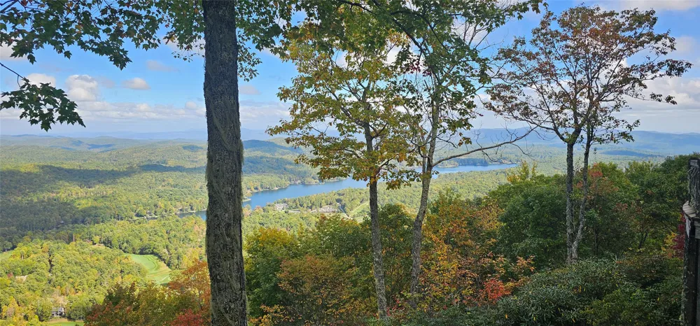 1734 Toxaway Drive Lake Toxaway, NC 28474