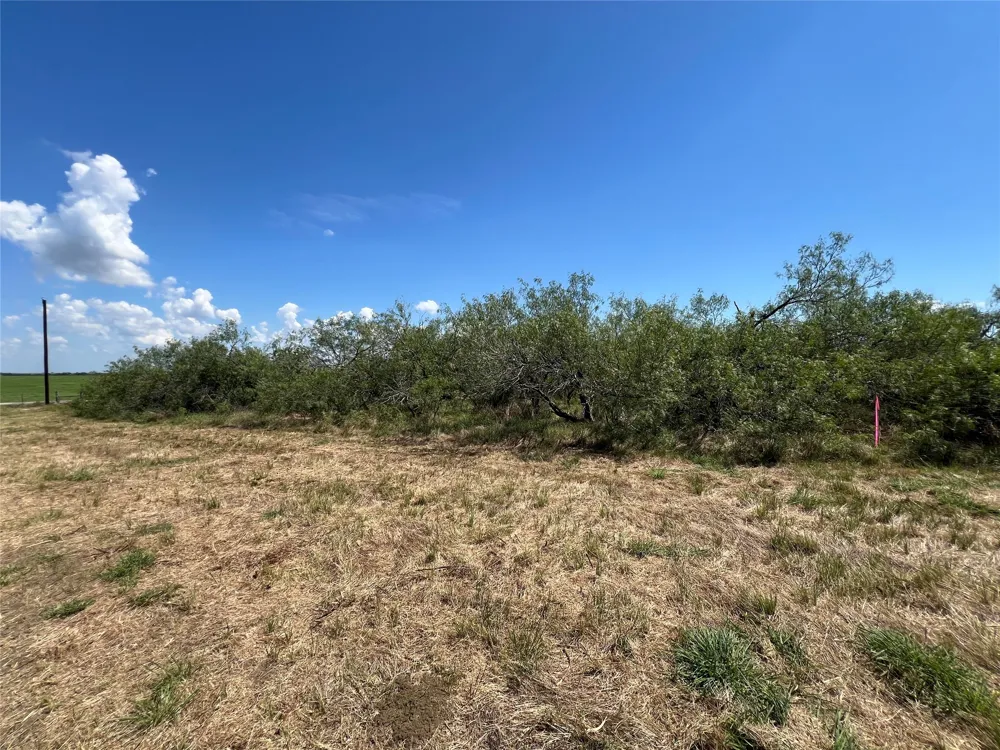 2630 CR 466 Elgin, TX 78621