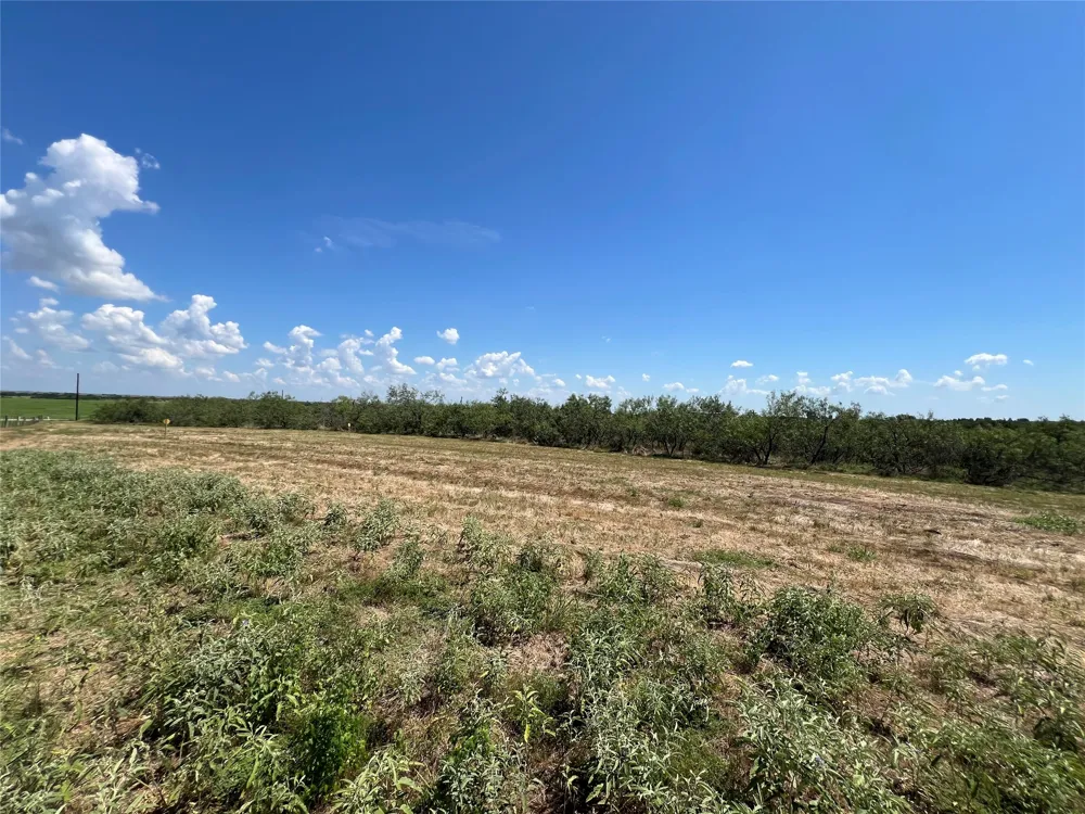 2630 CR 466 Elgin, TX 78621