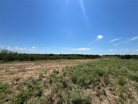 2614 CR 466