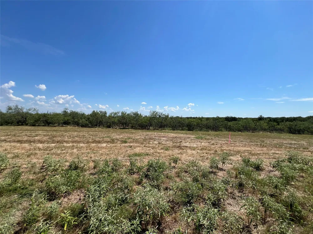 2614 CR 466 Elgin, TX 78621