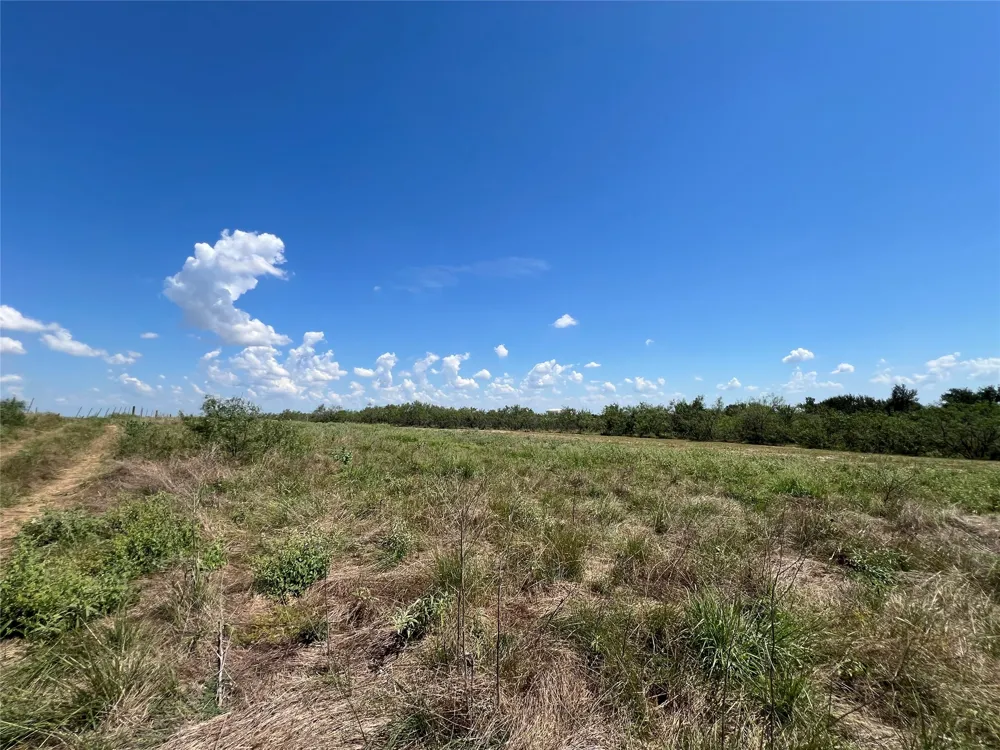 2614 CR 466 Elgin, TX 78621