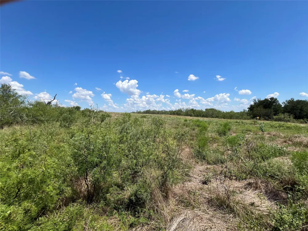 2614 CR 466 Elgin, TX 78621