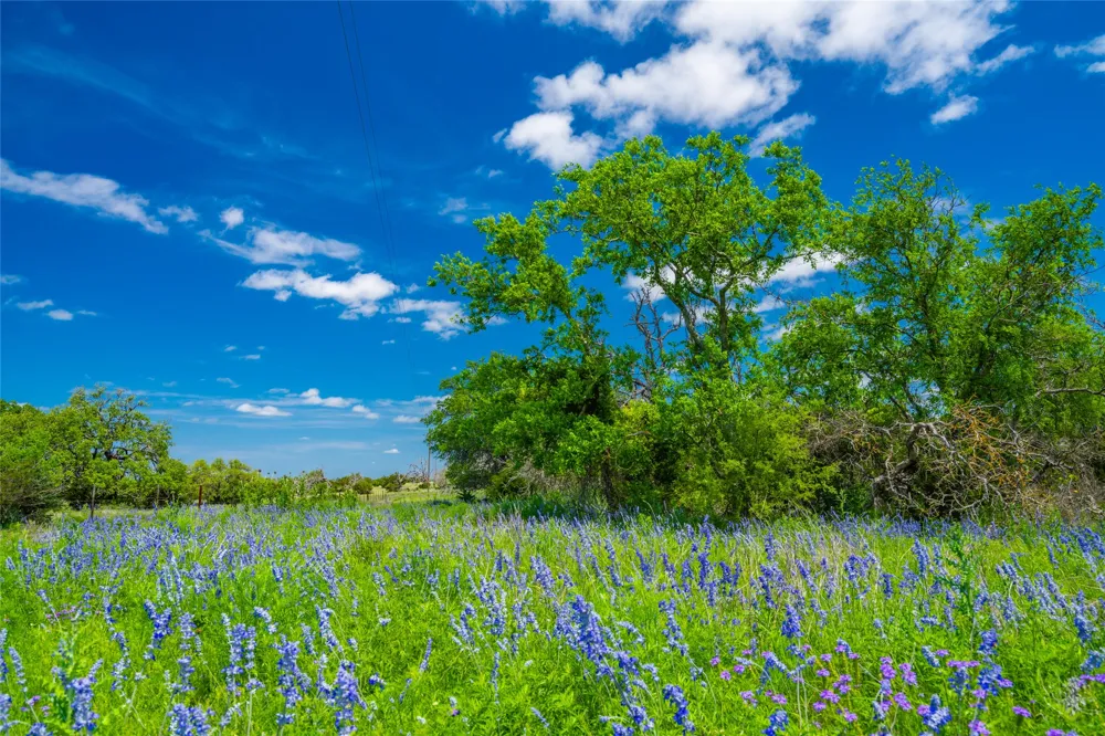 Jung Road Fredericksburg, TX 78631