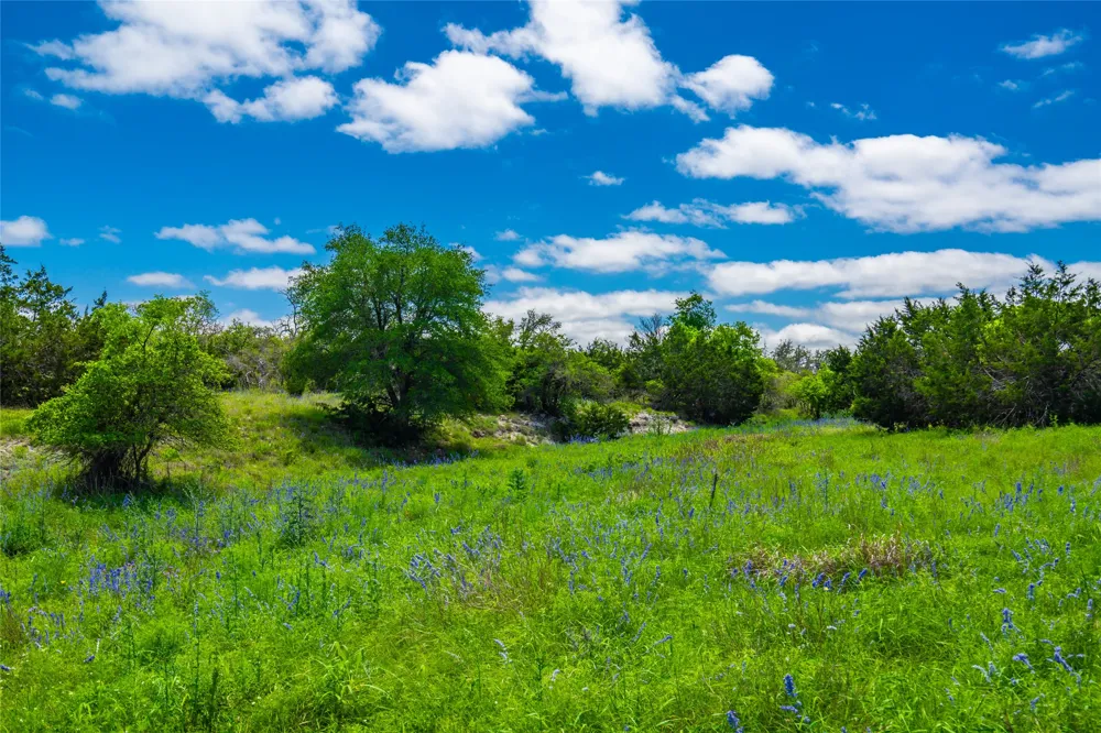Jung Road Fredericksburg, TX 78631