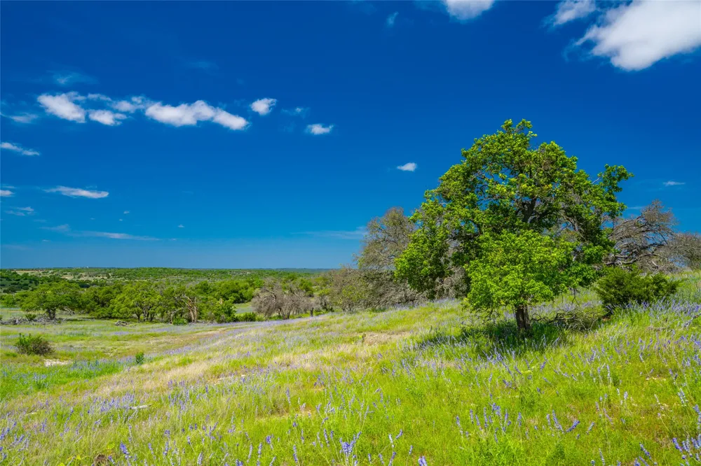 Jung Road Fredericksburg, TX 78631