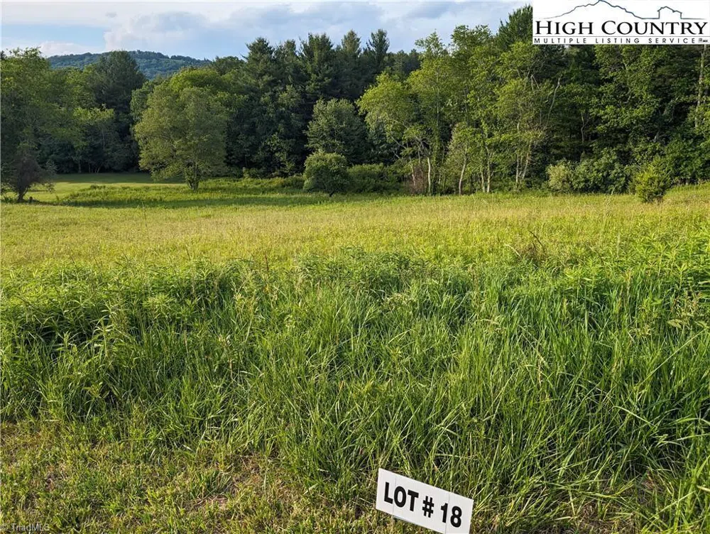 Lot 18 Fraser Road Sparta, NC 28675