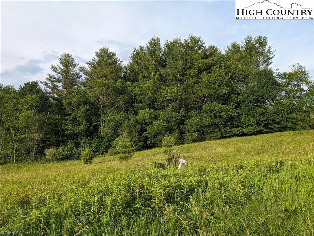 Lot 18 Fraser Road Sparta, NC 28675