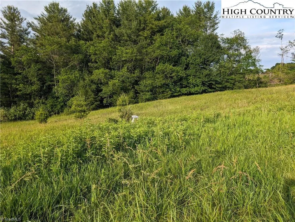 Lot 18 Fraser Road Sparta, NC 28675