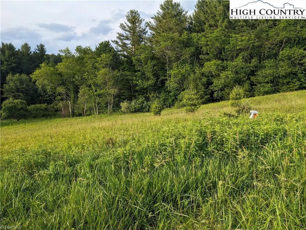 Lot 18 Fraser Road Sparta, NC 28675