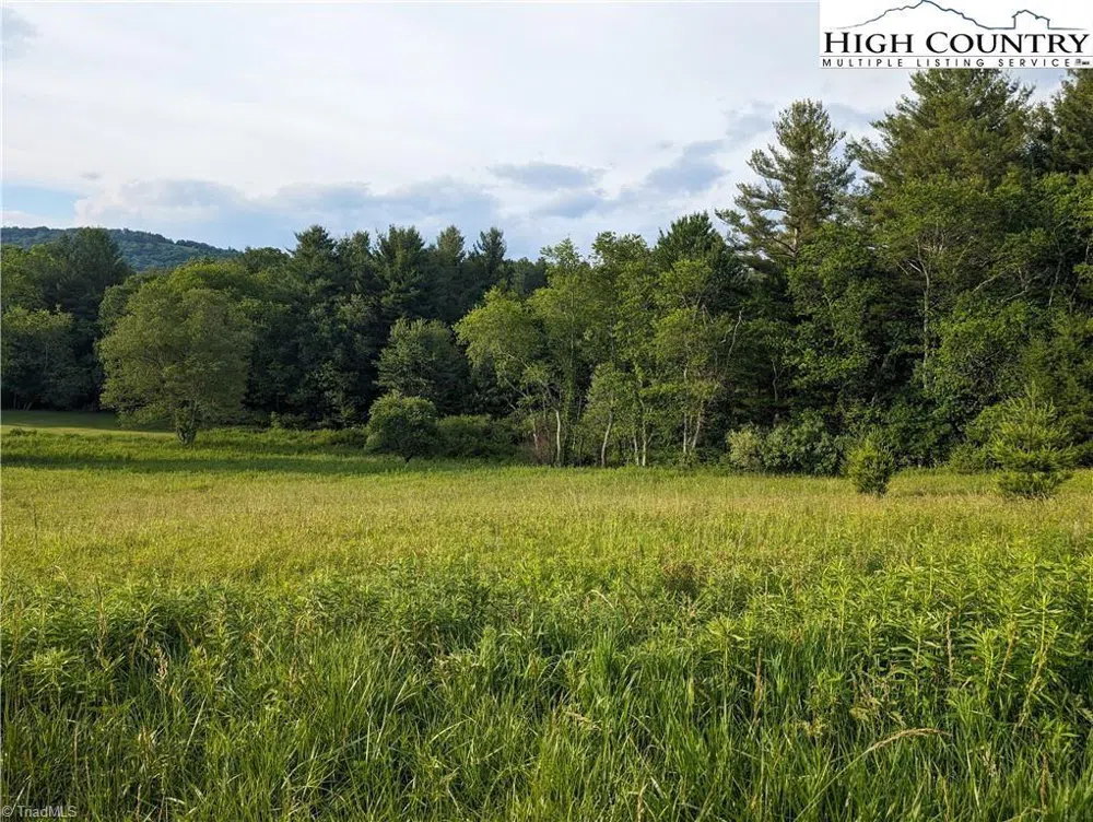 Lot 18 Fraser Road Sparta, NC 28675